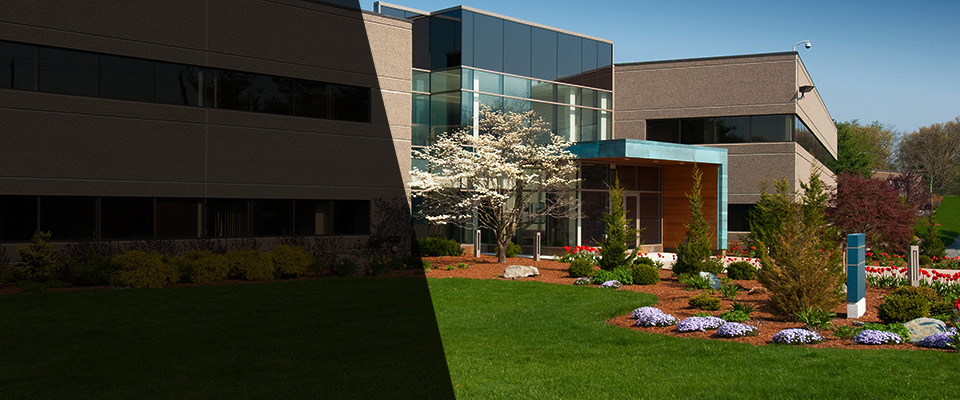 Marcellus Landscapers