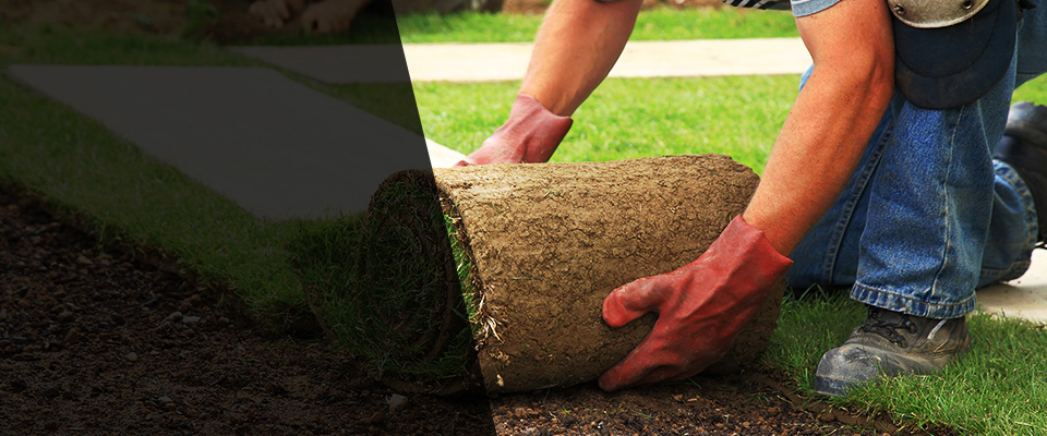 Marcellus Landscapers